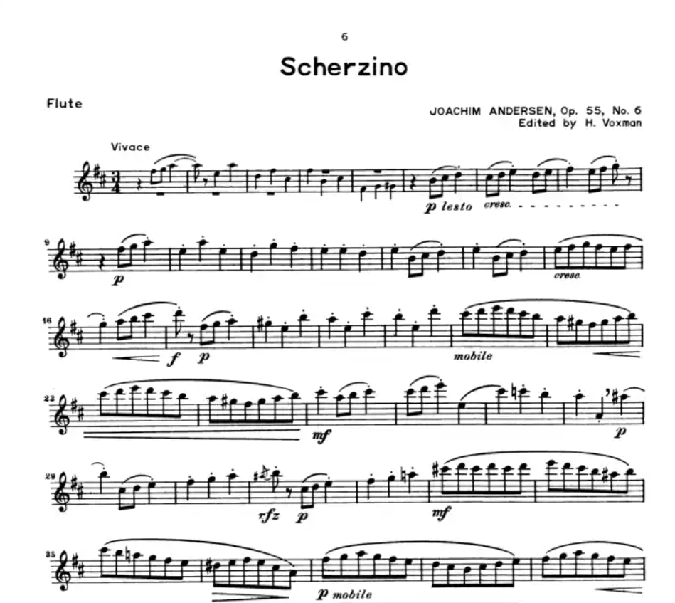 Rubank Concert And Contest Collection - Flute Solo Book (14 Pieces)