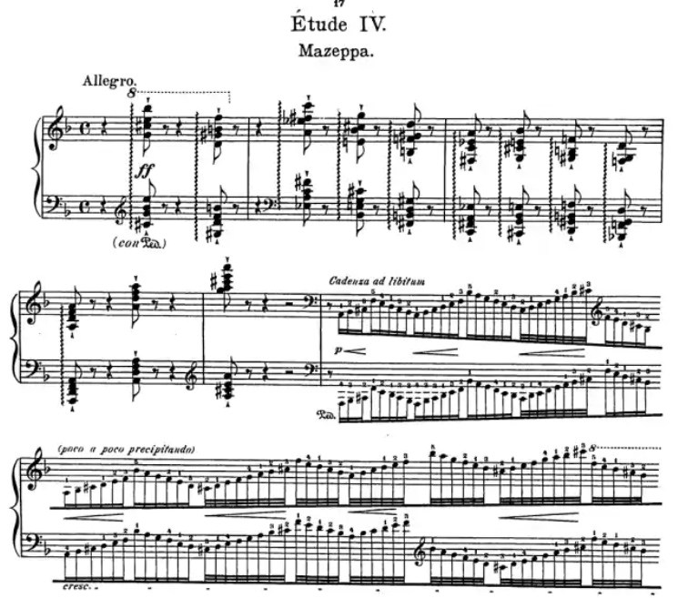 Franz Liszt- 12 Etudes for Piano Book