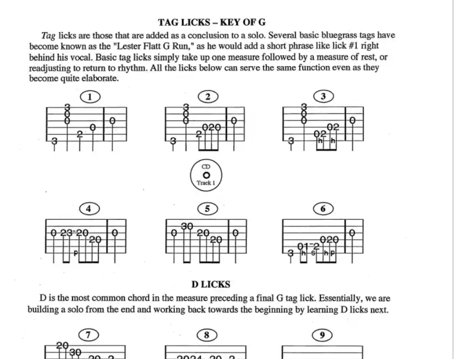 400 Smokin Bluegrass Guitar Licks Book and Online Audio