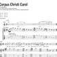 Jeff Buckley - Grace & Other Songs Guitar Tab and Chord Chart Book (15 Songs)