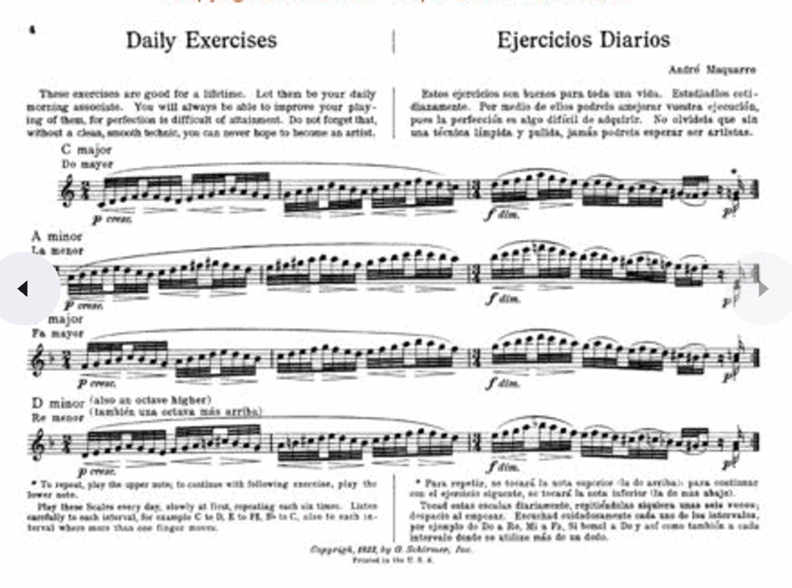 Daily Exercises For The Flute Book