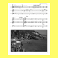 Viva Marimba Book/Cd-Rom with Reproducible Pages (Classroom)