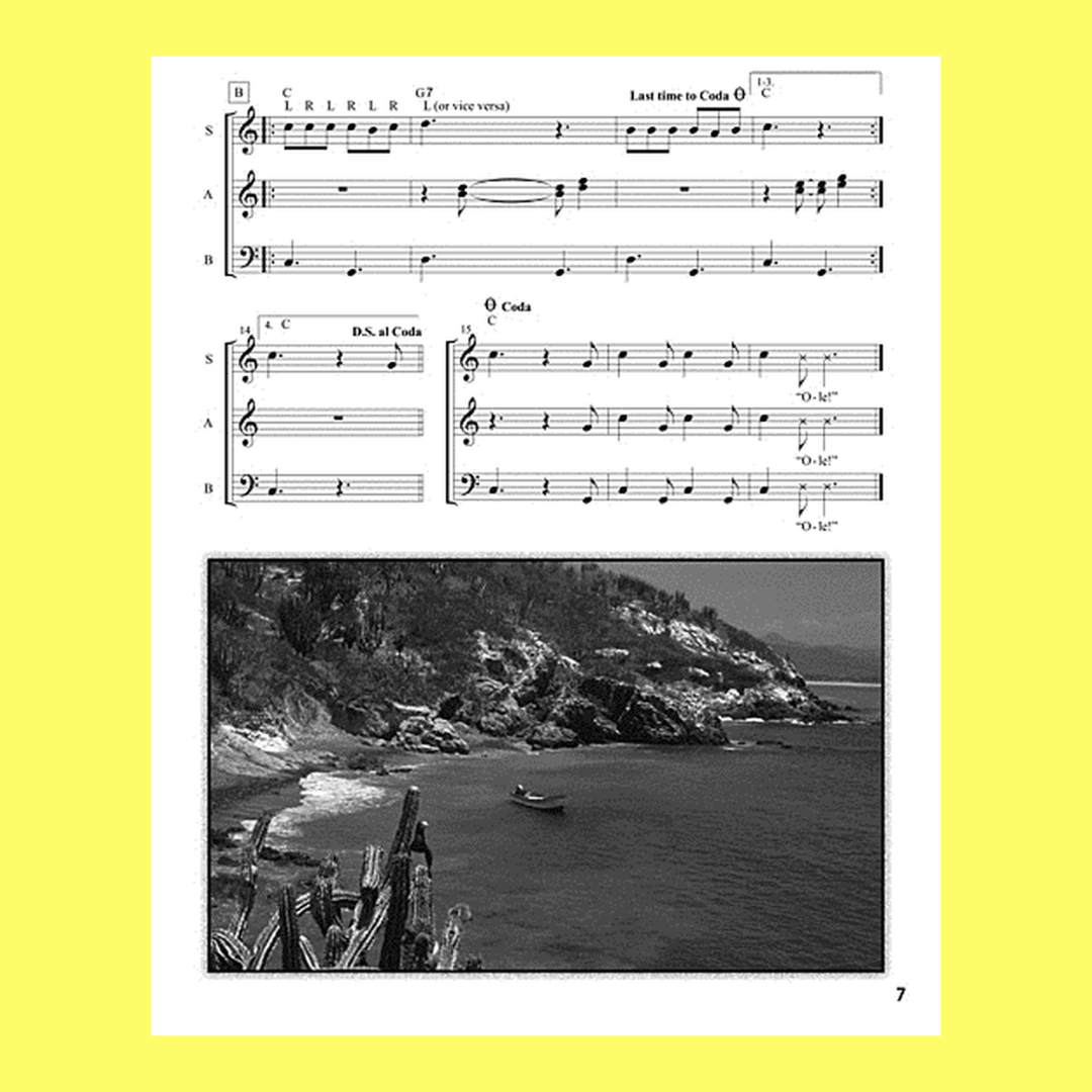 Viva Marimba Book/Cd-Rom with Reproducible Pages (Classroom)
