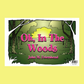John M. Feierabend: Oh, In The Woods - Flashcards