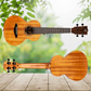 Flight NUC500 Solid Top Concert Ukulele with Padded Gig Bag - New Release, Limited Stock