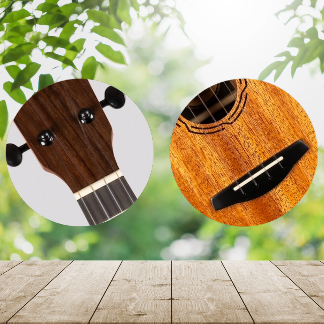 Flight NUC500 Solid Top Concert Ukulele with Padded Gig Bag - New Release, Limited Stock