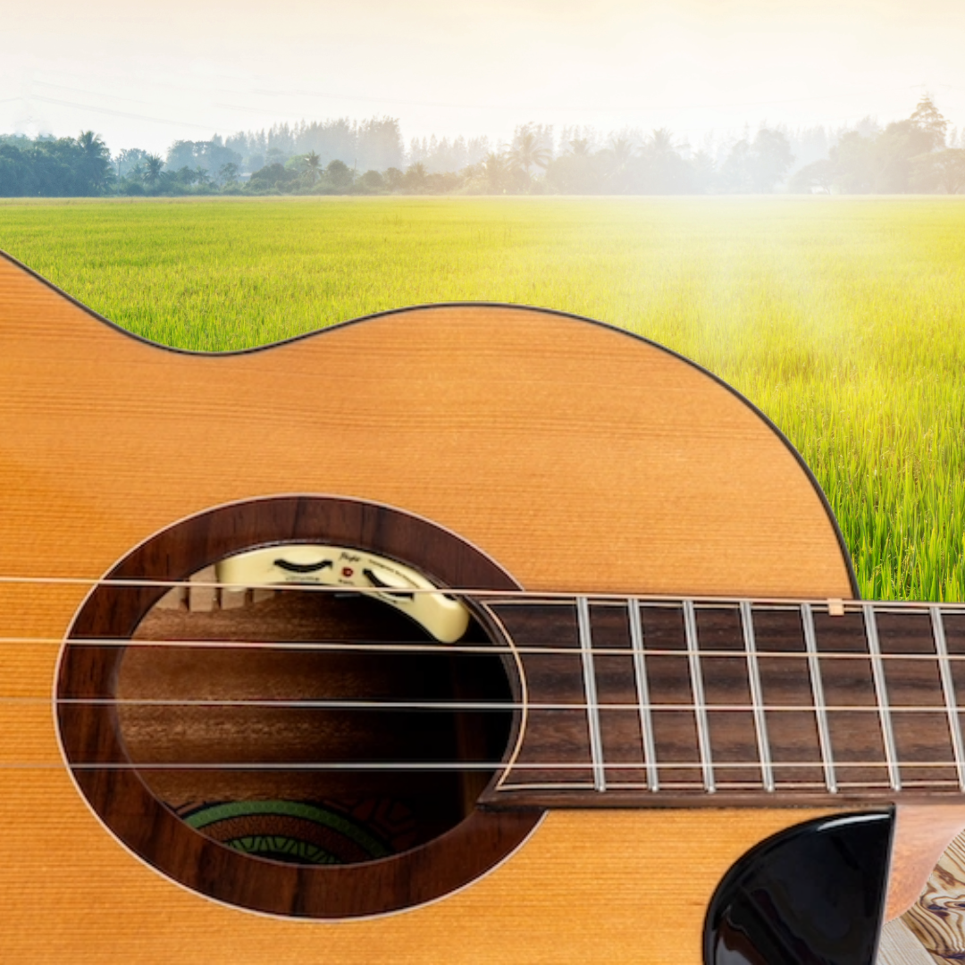 Flight Lily Steel String Baritone EQ-A with Deluxe Gig Bag - New in Australia - Very Limited Stock (5 Units Left)