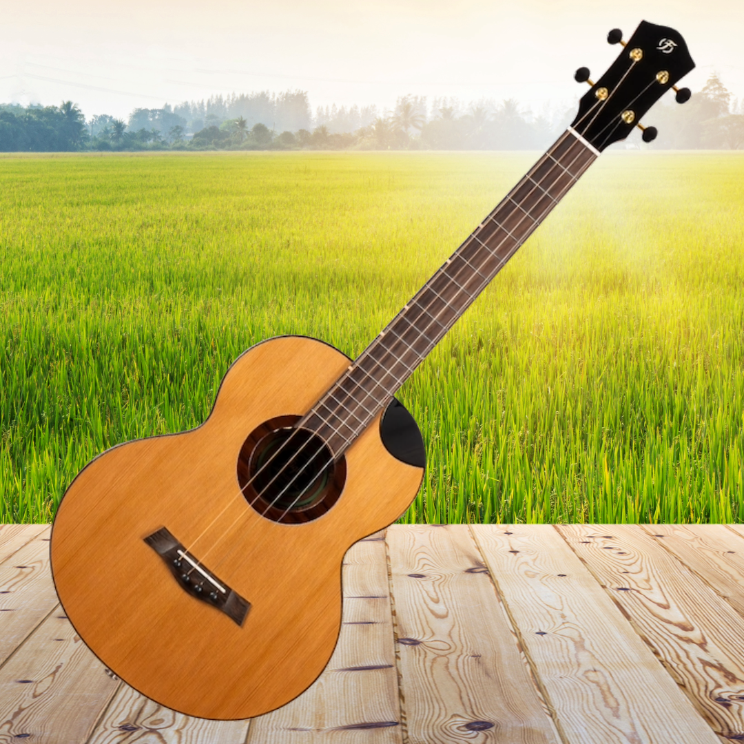 Flight Lily Steel String Baritone EQ-A with Deluxe Gig Bag - New in Australia - Very Limited Stock (5 Units Left)