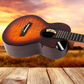 Flight Navigator EQ-A Tenor Solid Body Ukulele with Deluxe Gig Bag - New in Australia - Very Limited Stock (5 Units Remaining)