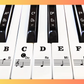 Black & White Keyboard Note Labels Stickers Set (For Beginners)