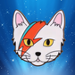Ziggy Star Cat Enamel Pin -2.8cm x 2.8cm