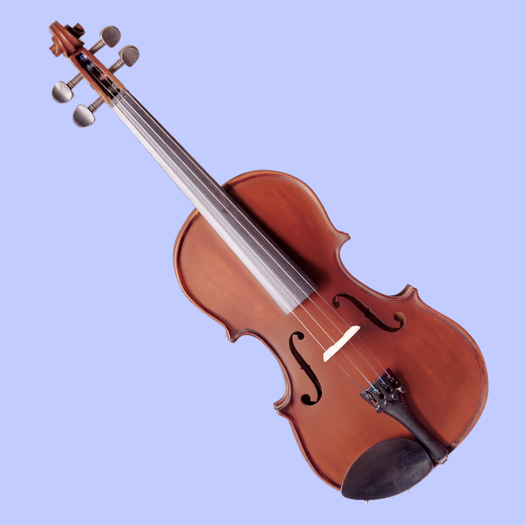 Vivo Neo Plus Student 1/2 Violin Outfit (Beginner Violin)