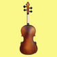 Vivo Neo 1/2 Student Violin Outfit with Bow & Case (Beginner Violin)