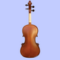 Vivo Neo Plus Student 1/2 Violin Outfit (Beginner Violin)