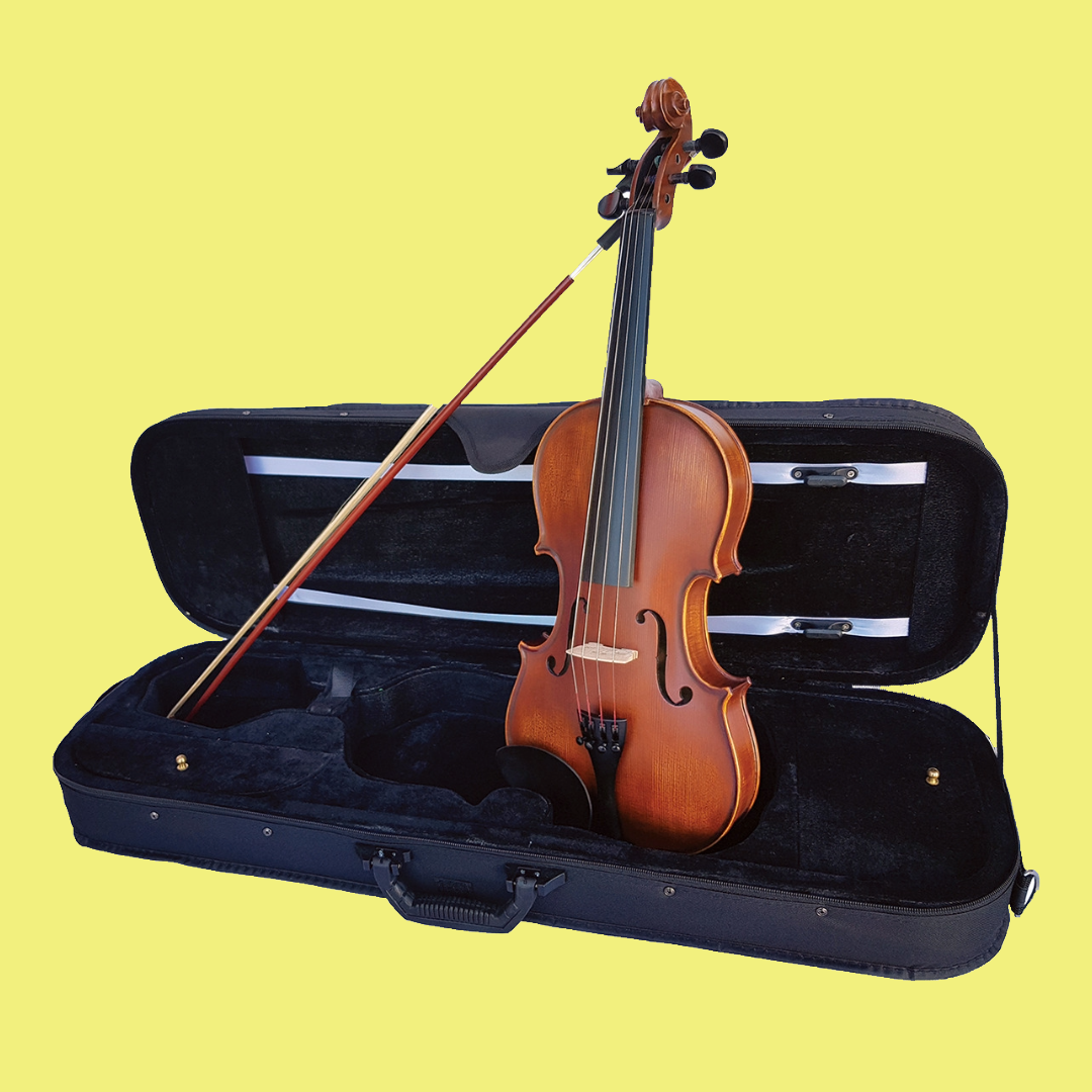 Vivo Elite 4/4 Violin Outfit with Case & Bow