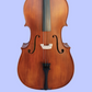 Vivo Student 4/4 Cello Outfit with Bow & Padded Bag (Beginner Cello)