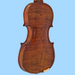 Hidersine Venezia Violin Full Size 4/4 Outfit with Case, Bow & Rosin