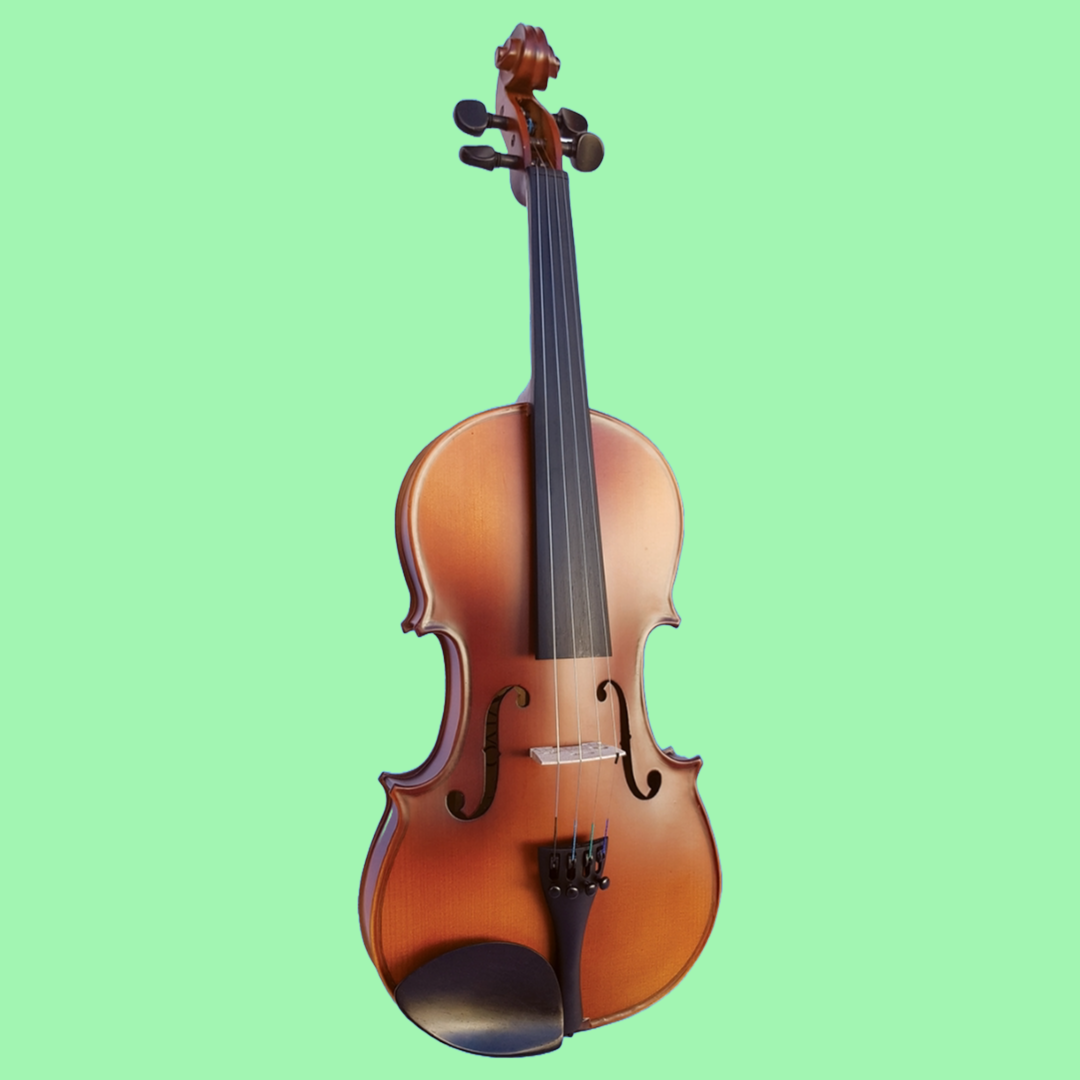 Vivo Neo 13" Viola Student Outfit with Case & Bow (Beginner Viola)