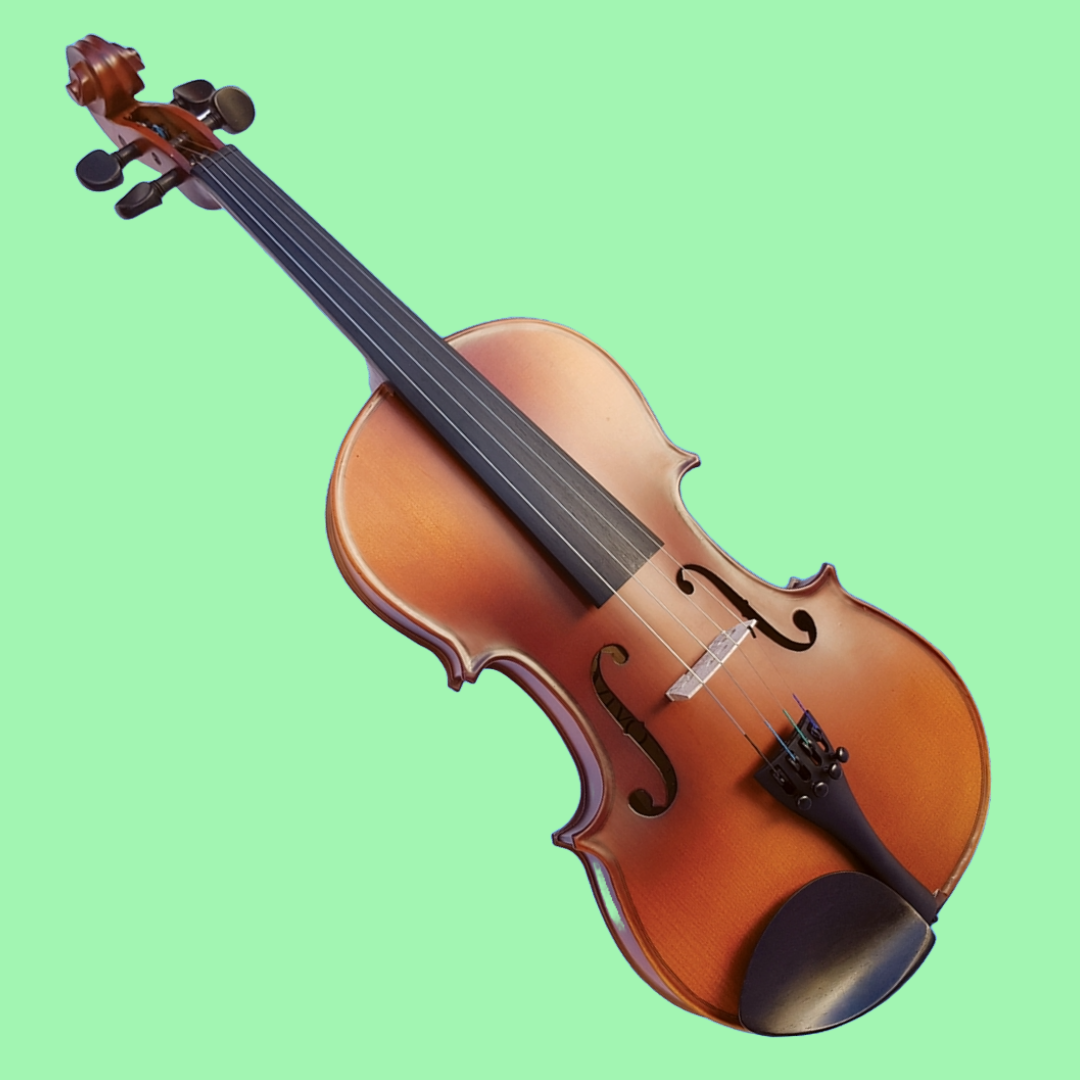 Vivo Neo 13" Viola Student Outfit with Case & Bow (Beginner Viola)