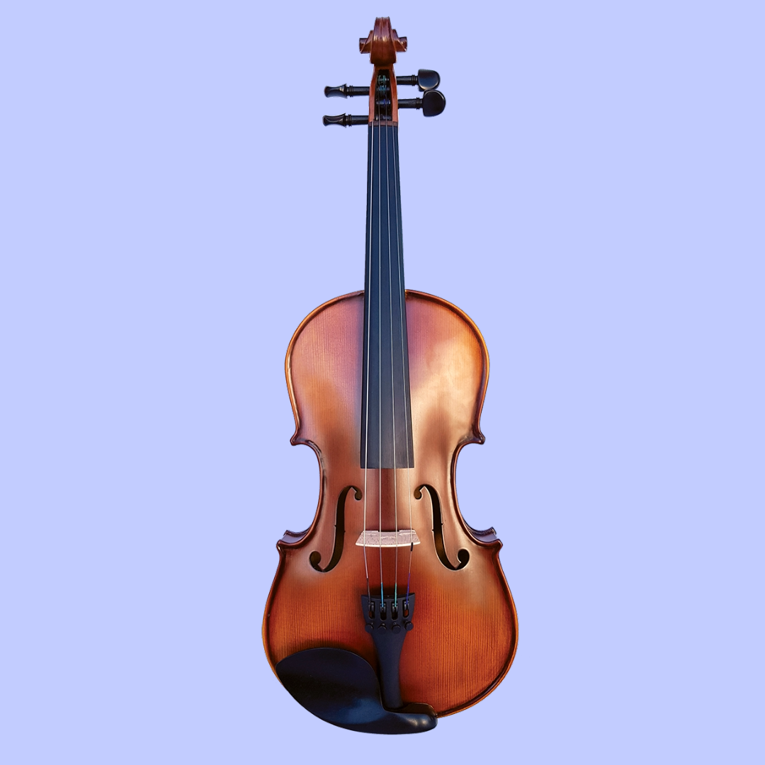 Vivo Encore 1/4 Student Violin Outfit with Case & Bow (Beginner Violin)
