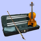 Hidersine WV50 Violin Full Size Outfit 4/4 with Case, Bow & Rosin