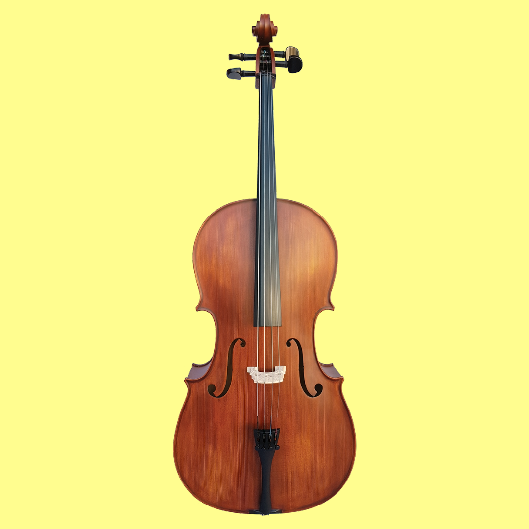 Vivo Student 3/4 Cello Outfit with Bow & Padded Bag (Beginner Cello)