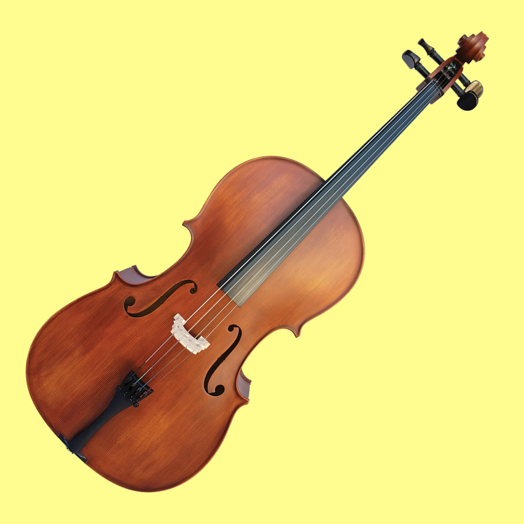 Vivo Student 3/4 Cello Outfit with Bow & Padded Bag (Beginner Cello)