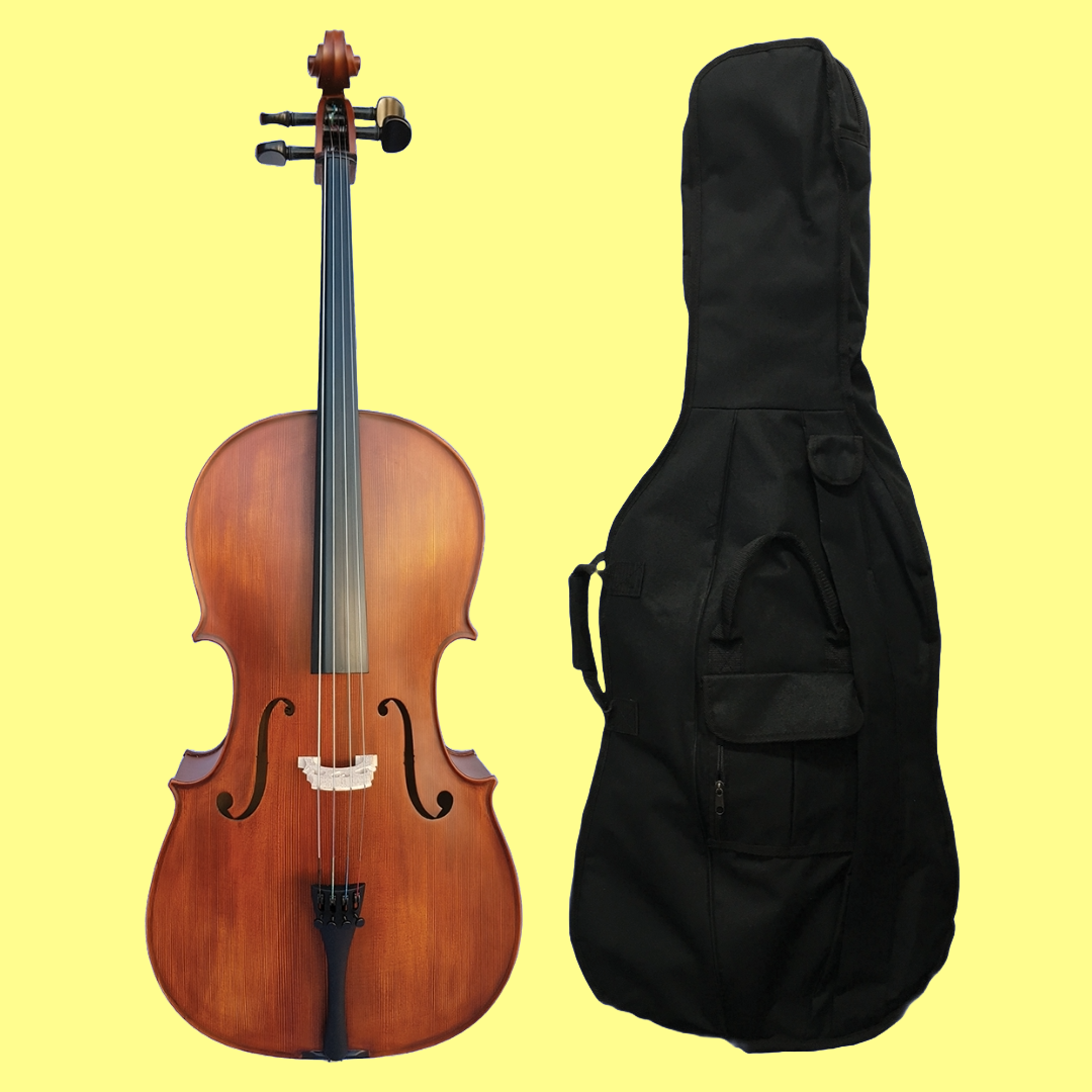 Vivo Student 3/4 Cello Outfit with Bow & Padded Bag (Beginner Cello)