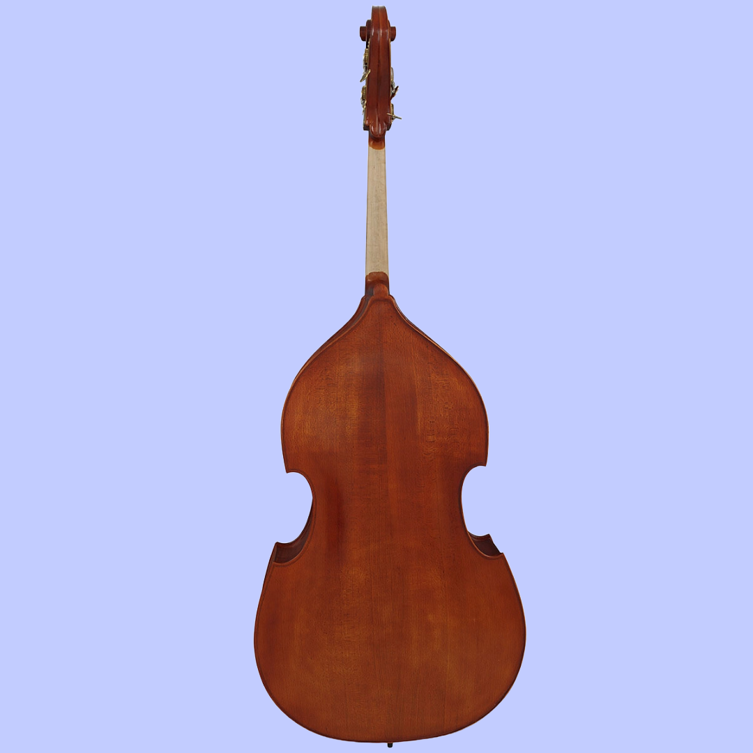 Hidersine Studenti 3/4 Double Bass Student Outfit with Padded Case, Rosin & Quality Bow