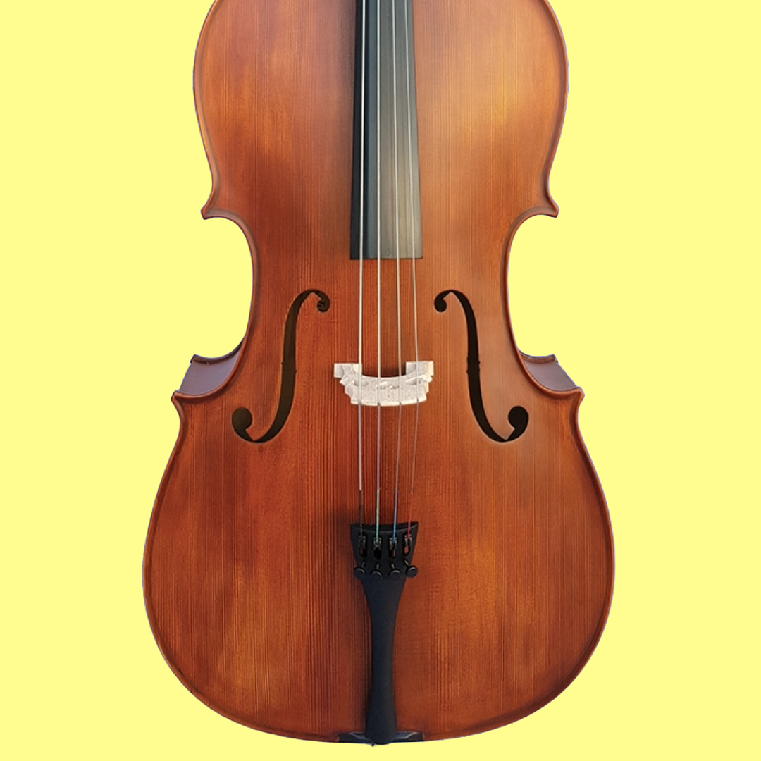 Vivo Student 3/4 Cello Outfit with Bow & Padded Bag (Beginner Cello)