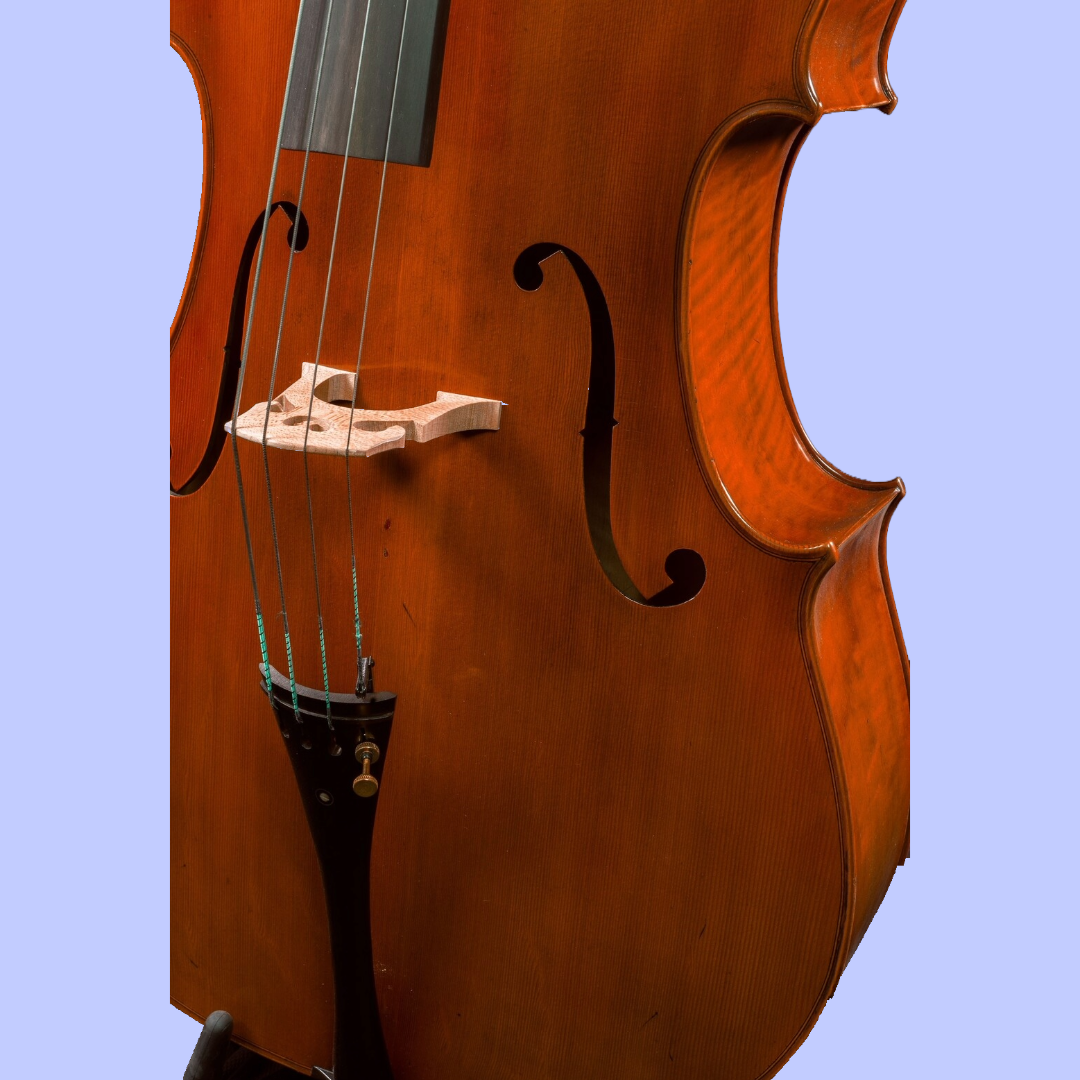 Hidersine Handmade Reserve Cello 4/4 Full Size with Case