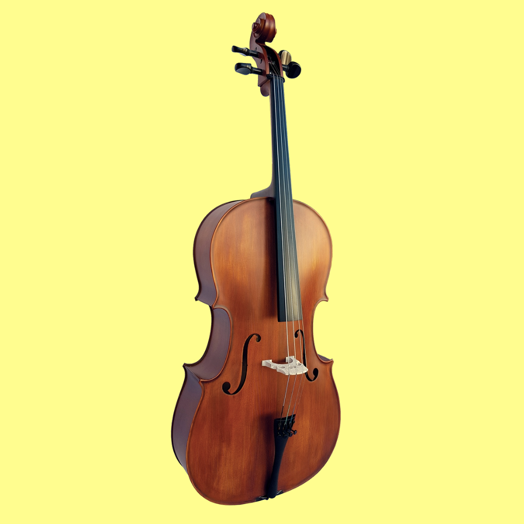 Vivo Student 3/4 Cello Outfit with Bow & Padded Bag (Beginner Cello)