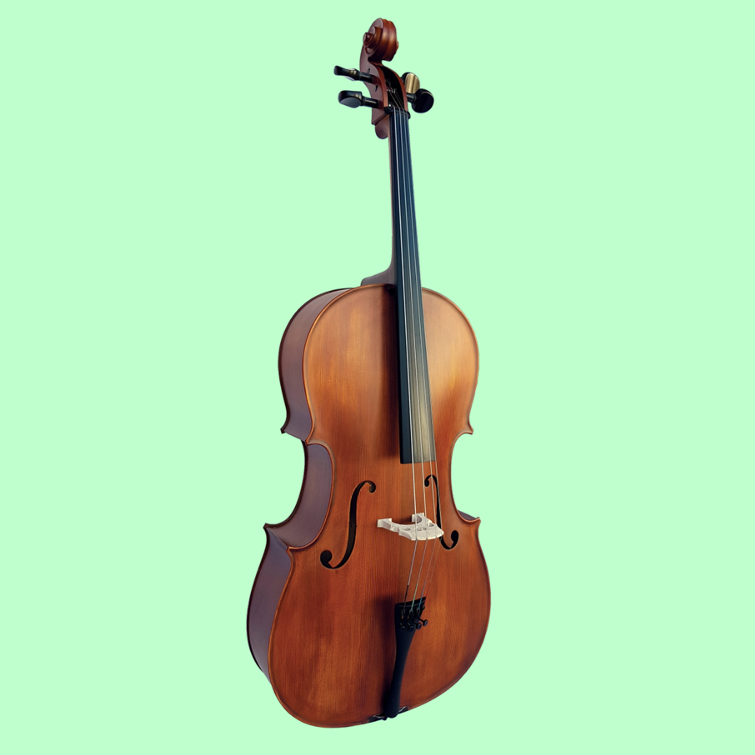 Vivo Student 1/2 Cello Outfit with Bow & Poly-Foam Hard Case (Beginner Cello)