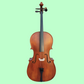 Vivo Student 1/2 Cello Outfit with Bow & Poly-Foam Hard Case (Beginner Cello)