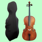 Vivo Student 1/2 Cello Outfit with Bow & Poly-Foam Hard Case (Beginner Cello)