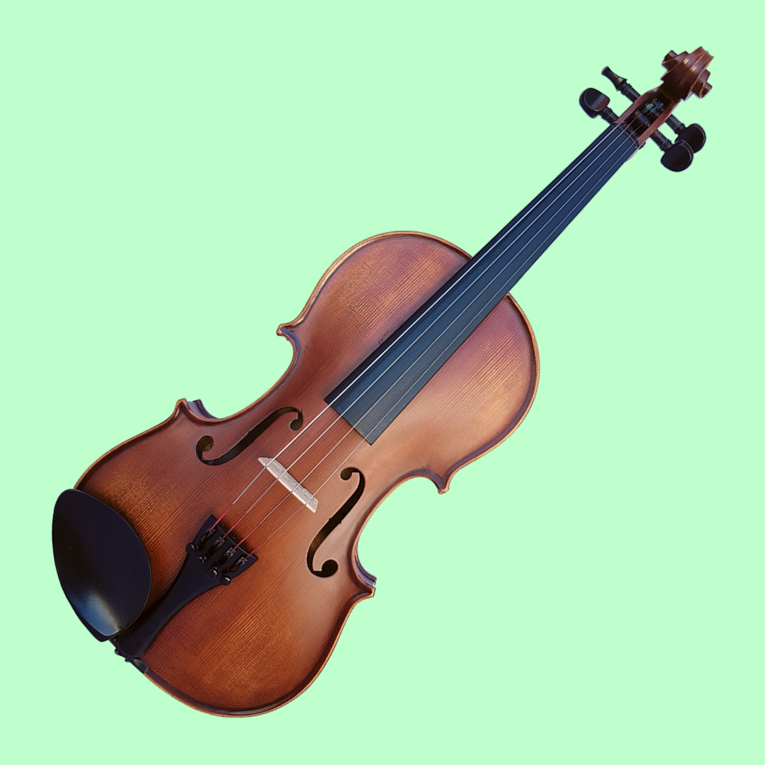 Normal Viola Vivo Neo 14