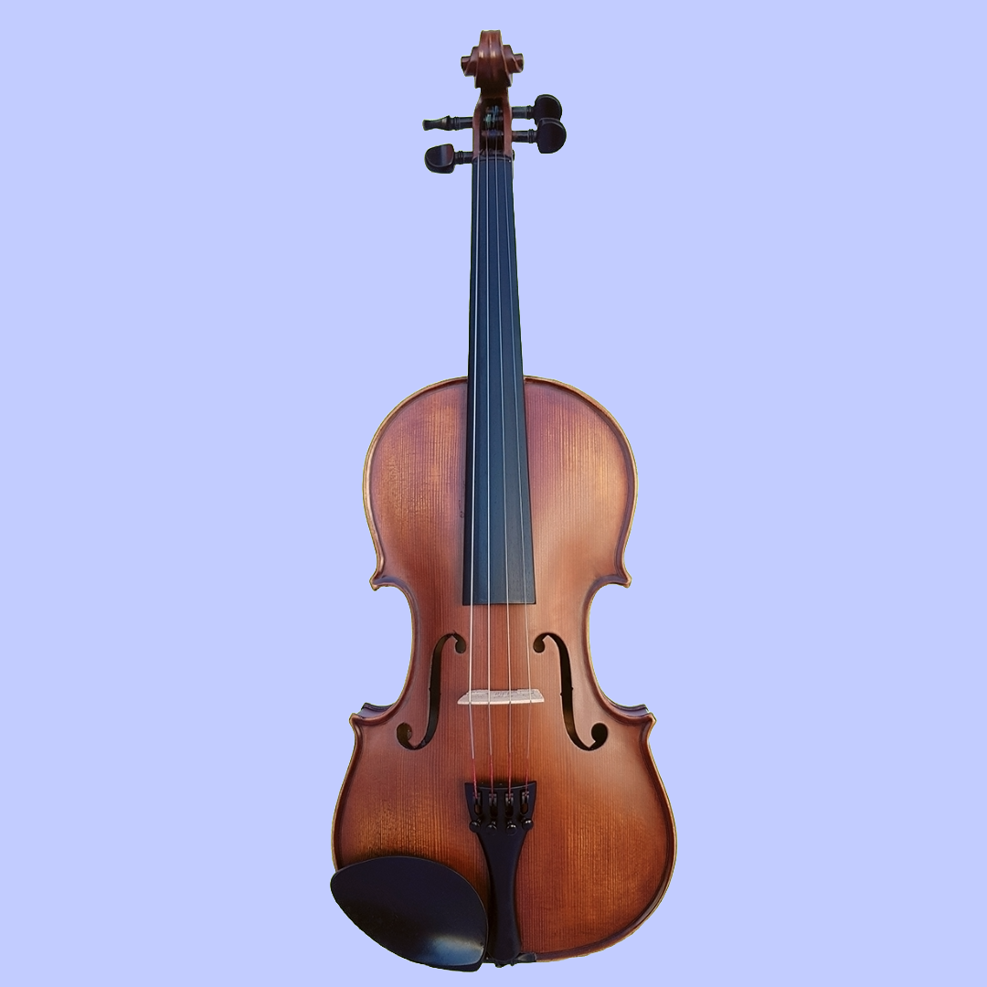 Vivo Alpha 4/4 Student Violin Outfit with Case & Bow-(Beginner Violin)