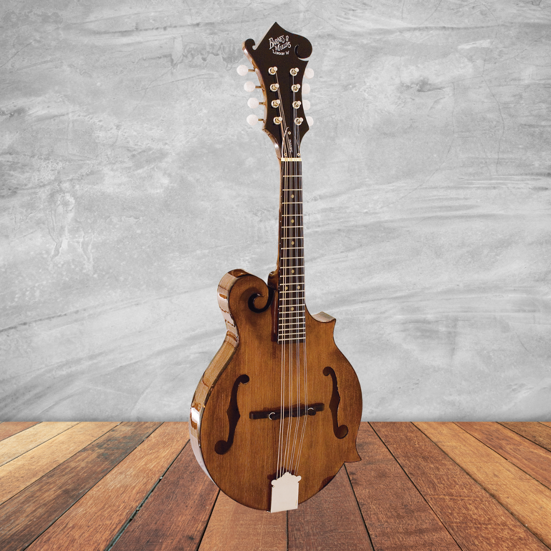 Barnes & Mullins BM650 Salvino Mandolin