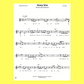 Blues Harmonica Collection Songbook (40 Songs)