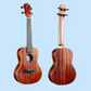 Barnes & Mullins BMUK7C Concert Koa Ukulele with Premium Backpack Case