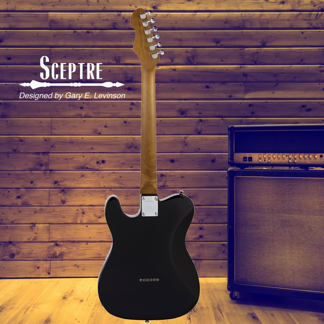 Sceptre Arlington - Standard Single Cutaway Black Electric Guitar