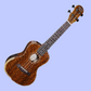 Barnes & Mullins BMUK5CE Concert Walnut Ukulele with Pickup & Premium Backpack Case