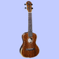 Barnes & Mullins BMUK5CE Concert Walnut Ukulele with Pickup & Premium Backpack Case