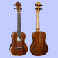 Barnes & Mullins BMUK5CE Concert Walnut Ukulele with Pickup & Premium Backpack Case