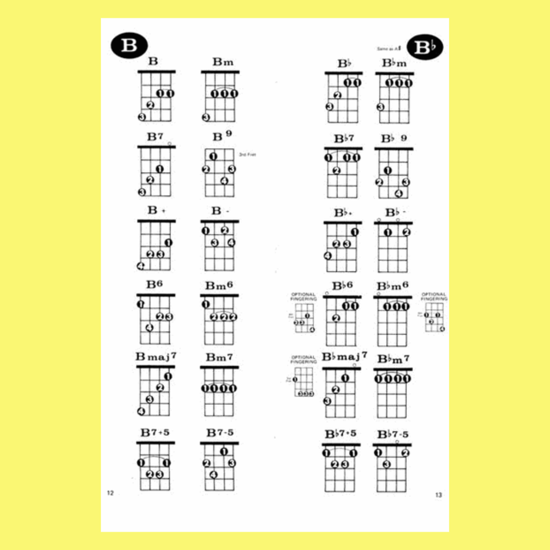 The Handy Guide Ukulele Chord Dictionary Book