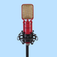 Eikon RM8 Ribbon Microphone with Mount & Hard Case