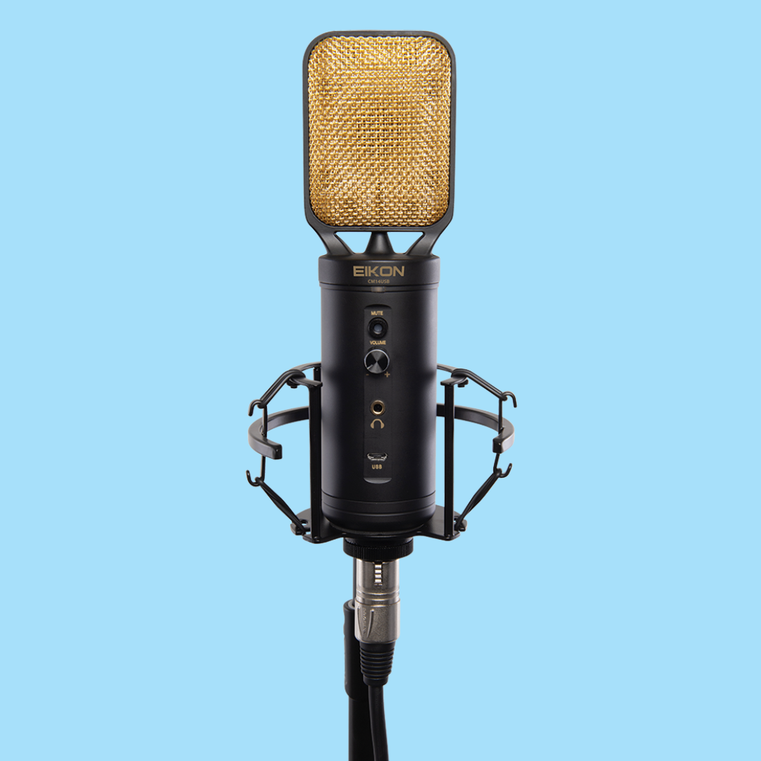 Eikon CM14USB Recording Condenser Microphone