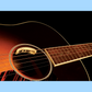 LR Baggs ANTH Anthem Acoustic Guitar Split Saddle Pickup System