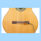 KNA NG2-7S Classical Guitar Pickup for 7 Strings with Volume Control
