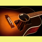 LR Baggs ANTHSL Anthem SL Acoustic Guitar Pickup Split Saddle System